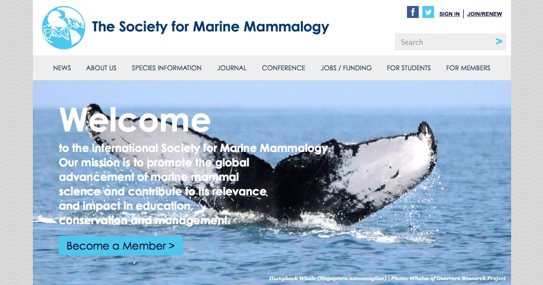 How to Become a Marine Mammal Scientist - Society for Marine Mammalogy