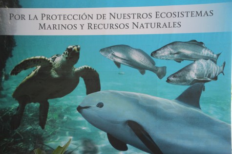 Backdrop to the ceremonial podium "For the protection of our marine ecosystems and natural resources" depicting sea turtles, totoaba and a vaquita.